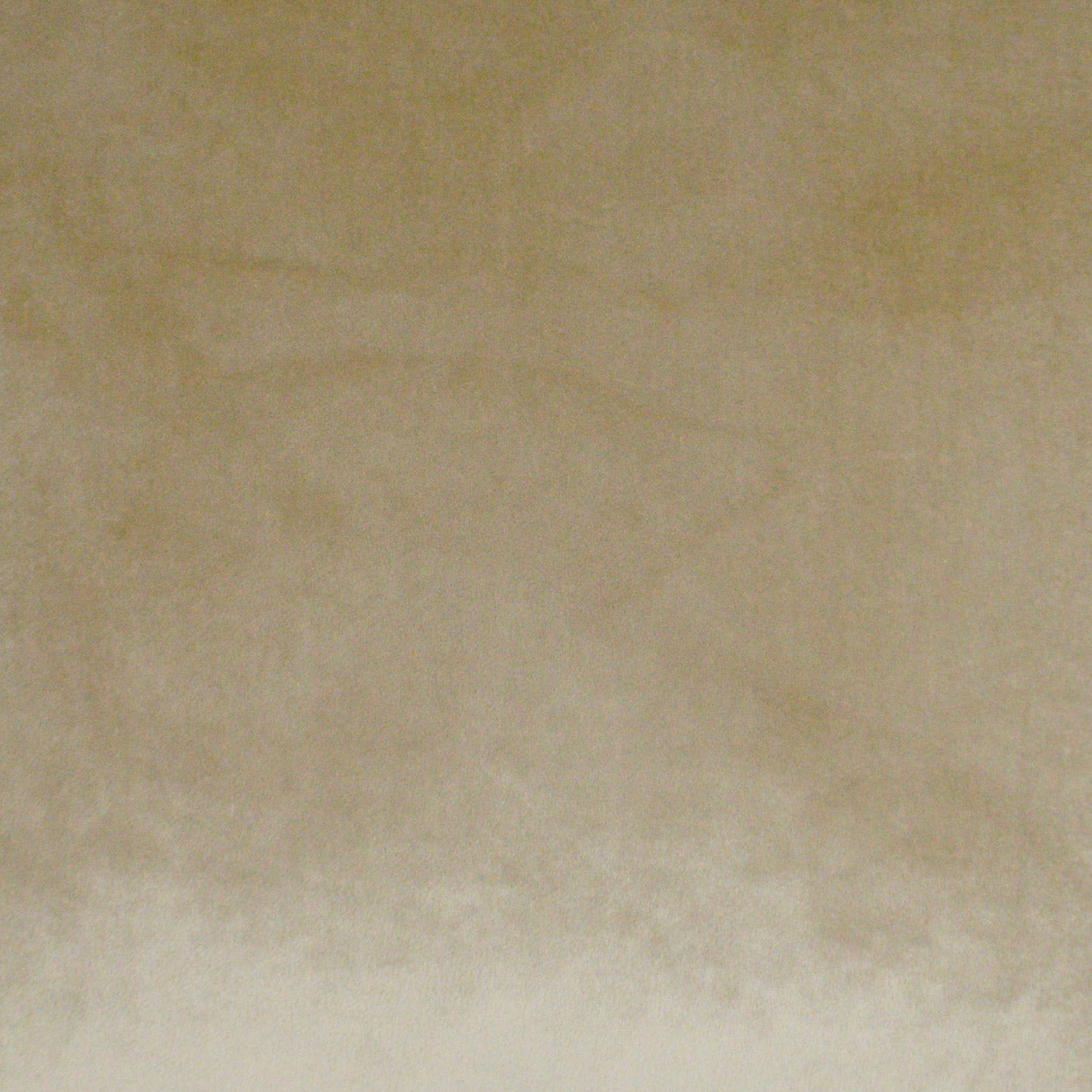 3635-G-web-Flirty-Gilt back