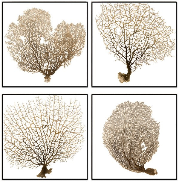 Beauty of the Ocean (2)