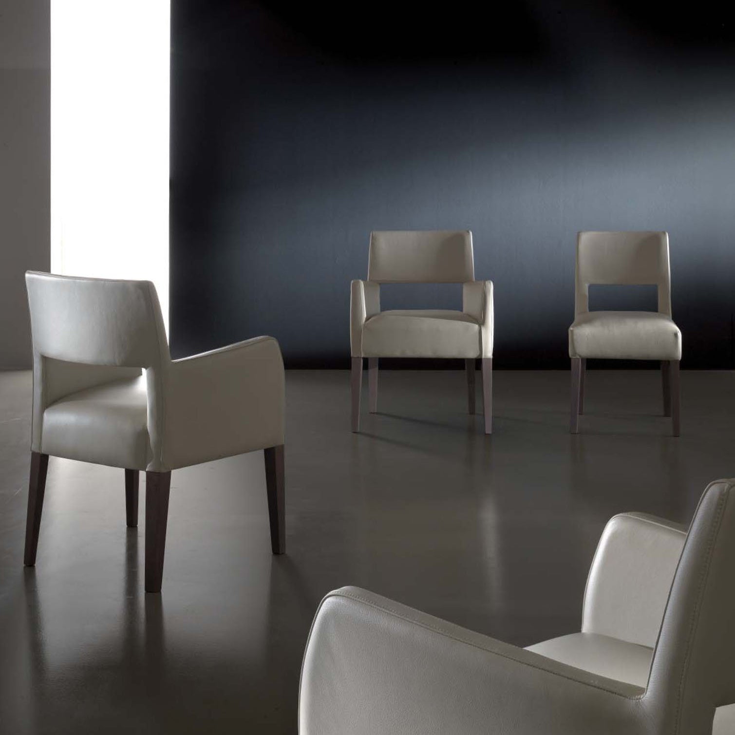 Modern classic collection_SOLITAIRE dining chairs