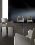 Modern classic collection_SOLITAIRE dining chairs