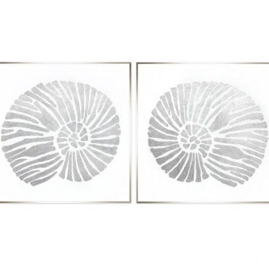 Silvery shells