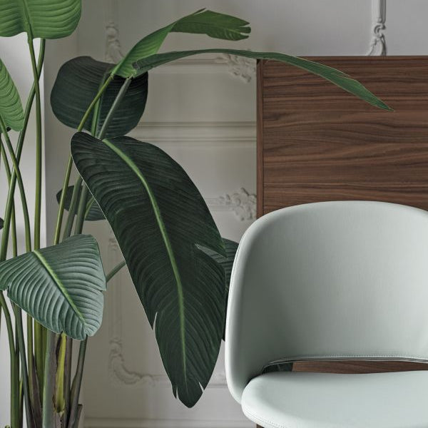 polo_34-69r_m327_pr06_pica_15-66el_l036_m055_2_