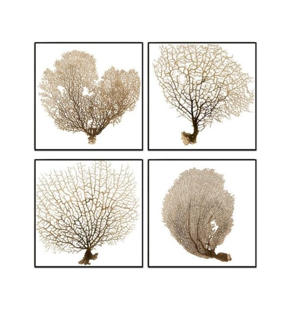 Beauty of the Ocean (2)