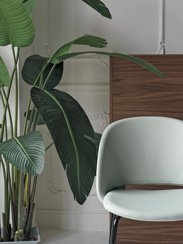 polo_34-69r_m327_pr06_pica_15-66el_l036_m055_2_